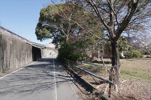 前面道路（西側）