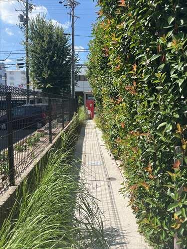 南側敷地-2 南側敷地-2