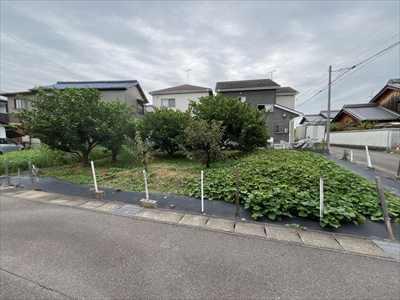 現地写真(2025年12月撮影)