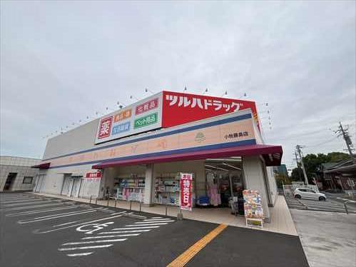 ツルハドラッグ（徒歩10分733m）