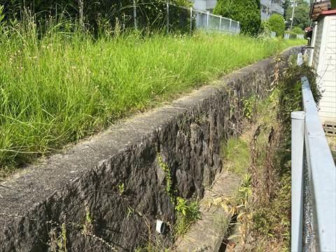 現地北側写真（2025年7月撮影）