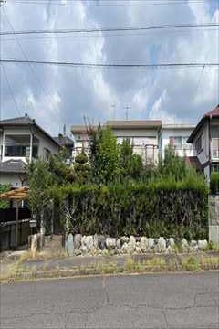 現地写真(2025年8月撮影)