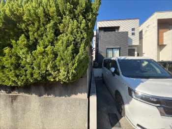 現地写真(2025.11撮影) 現地写真(2025.11撮影)