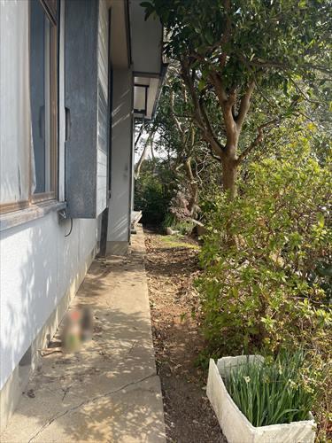 南側境界付近(2026年2月撮影)