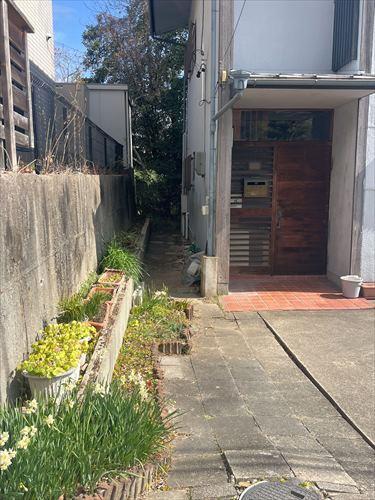 北側境界付近(2026年2月撮影)-2