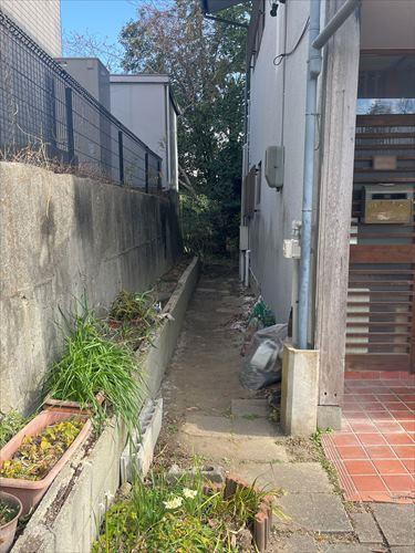 北側境界付近(2026年2月撮影)-3