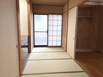 現地写真(2026年1月撮影)