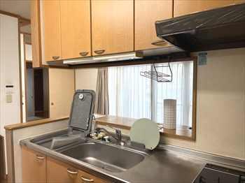 現地写真(2026年1月撮影)