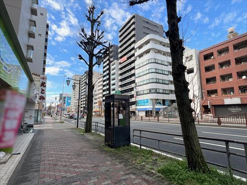 北側前面道路-1 (2026年3月撮影)