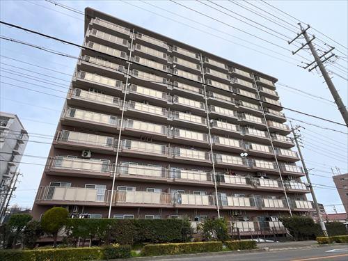 外観(南側から)