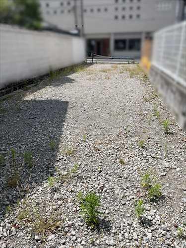現地写真 現地写真