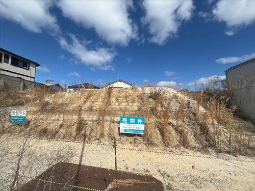 現地写真（2号地は真ん中）