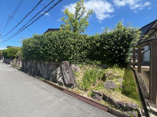 現地写真