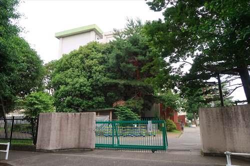 羽村市立松林小学校860m