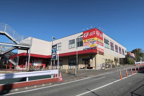 ロピア八王子みなみ野店