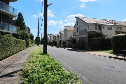 前面道路（西側）