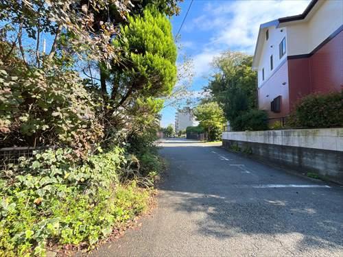 前面道路(南東側)