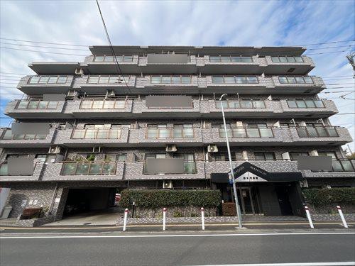 現地写真(2025年11月撮影)