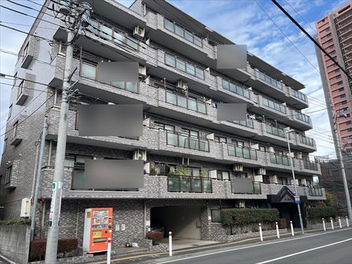 現地写真(2025年11月撮影)