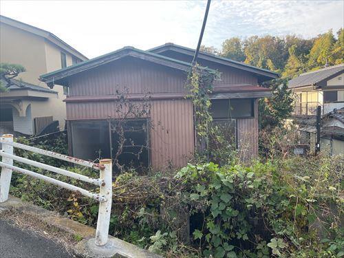 現地写真(2025年11月撮影)