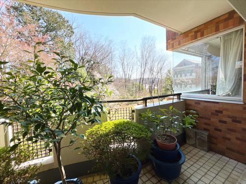 南東側バルコニー（洋室隣）