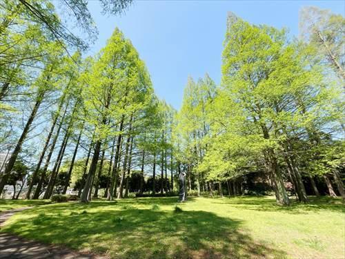 北野台わかば公園(1080m)