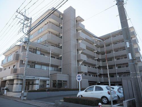 現地（2026年2月 撮影）