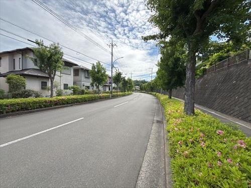 南側前面道路