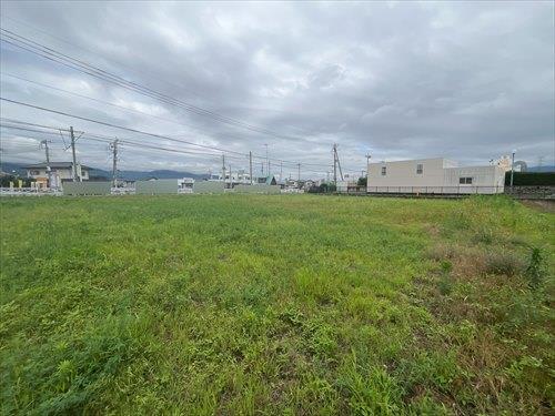 現地写真(2026年7月撮影)