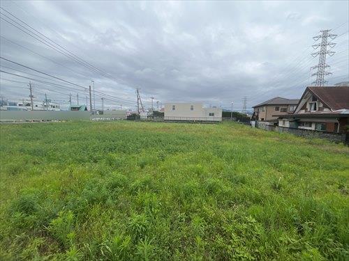 現地写真(2026年7月撮影)