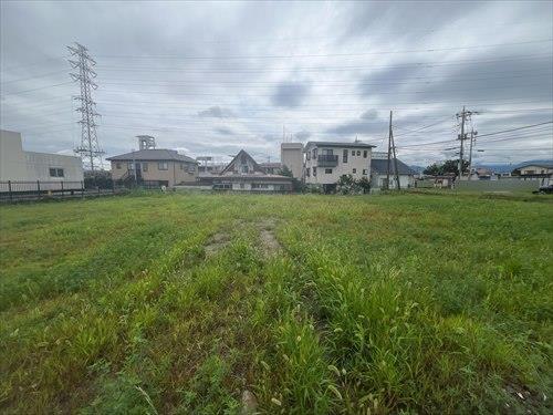 現地写真(2026年7月撮影)