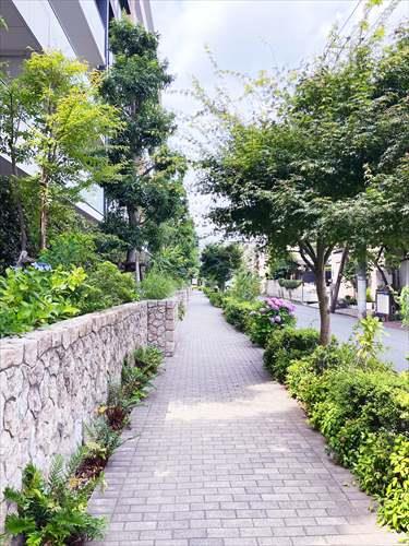 現地南西側歩道