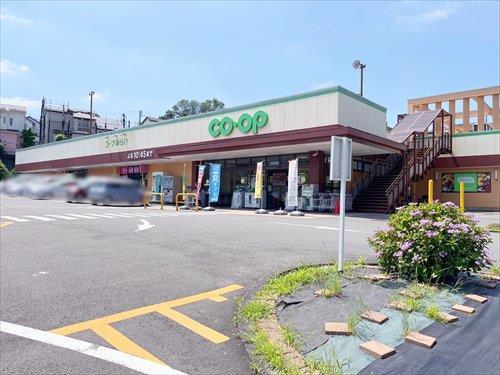 コープ城山手店(250m)