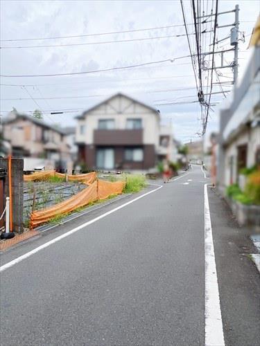 現地前面道路(東側)