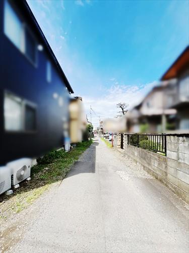 現地南側道路