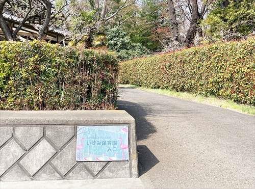 いずみ保育園(650ｍ)