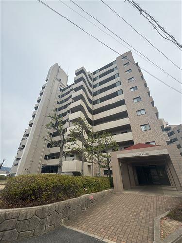 現地（2025年4月撮影）