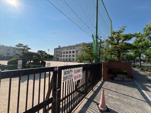 広島市立中島小学校まで約580m