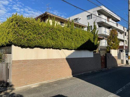 現地(南東側から撮影)