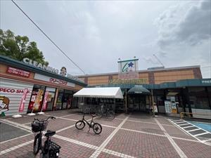 フレスタ祇園店まで1,170ｍ