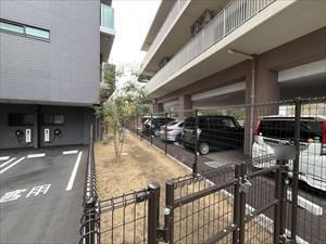 ドッグラン（2026年2月撮影）