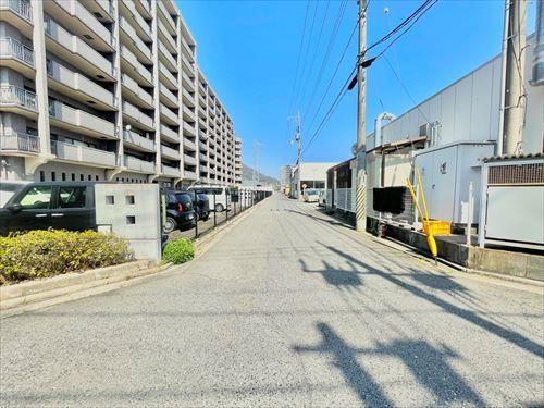 2026年3月撮影　南東側道路