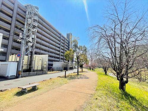 2026年3月撮影　南西側道路