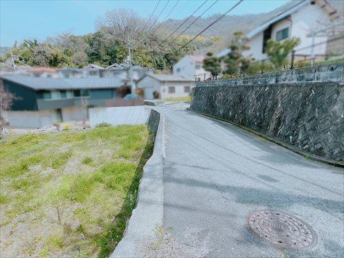 2026年4月撮影