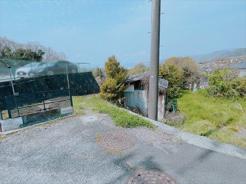 2026年4月撮影