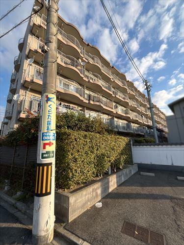 2026年4月撮影