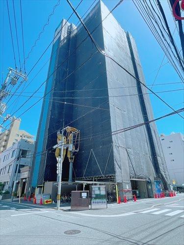 2026年5月撮影