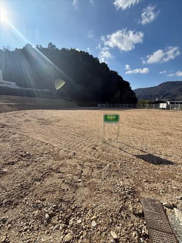 現地　2026年1月撮影