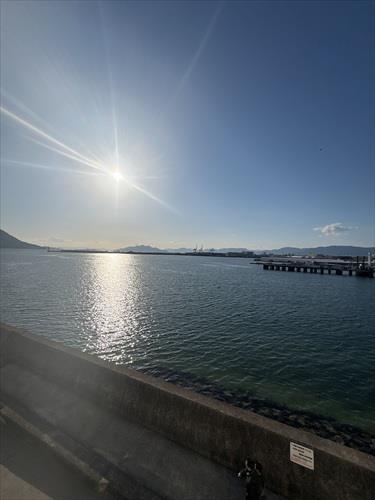 南西側バルコニーからの眺望