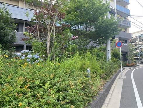 植栽豊かなエントランス
